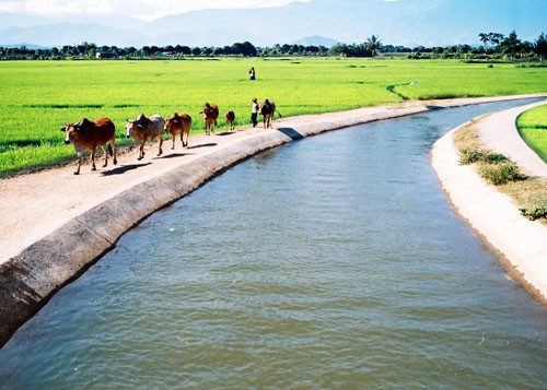 Vietnam works harder to develop new rural areas - ảnh 1